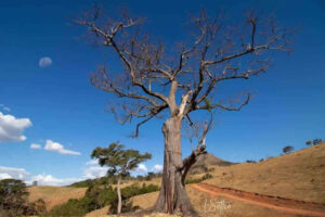 Serra da Canastra pelas lentes de Laila Setton durante estadia na Pousada Irmão Sol em São José do Barreiro-MG