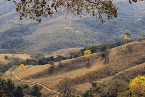 Serra da Canastra pelas lentes de Laila Setton durante estadia na Pousada Irmão Sol em São José do Barreiro-MG